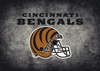NFL Cincinnati Bengals