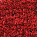 Heather Red