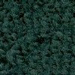 Hunter Green