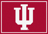 Indiana University
