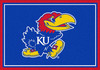 University Of Kansas