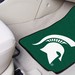 Michigan State University