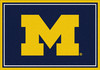 University Of Michigan