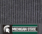 Michigan State University