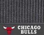 Chicago Bulls