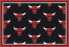 NBA Chicago Bulls