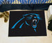 NFL - Carolina Panthers