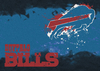 NFL Buffalo Bills