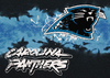 NFL Carolina Panthers