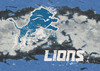NFL Detroit Lions