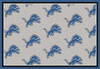 NFL Detroit Lions