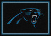 NFL Carolina Panthers