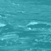 Curacao Marble