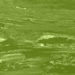 Grass Green Marble