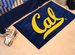 University of California - Berkeley