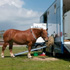 Horse Trailer Ramp Mats