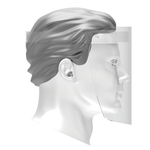 Disposable Face Shields