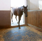 Horse Mats