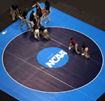 Wrestling Mats